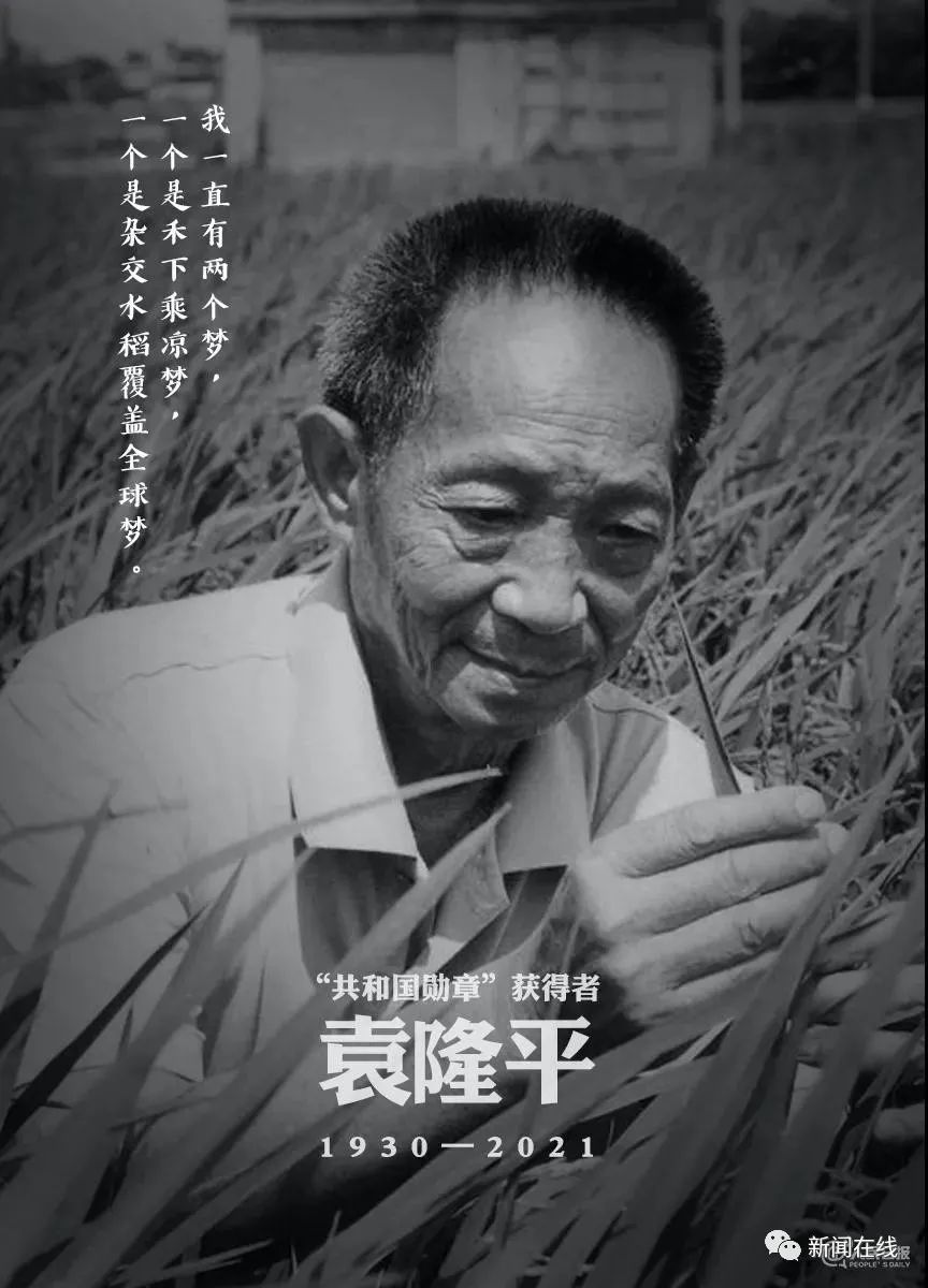 巨星陨落！“杂交水稻之父”袁隆平逝世，但“禾下乘凉梦”仍在八桂热土续延休闲区蓝鸢梦想 - Www.slyday.coM