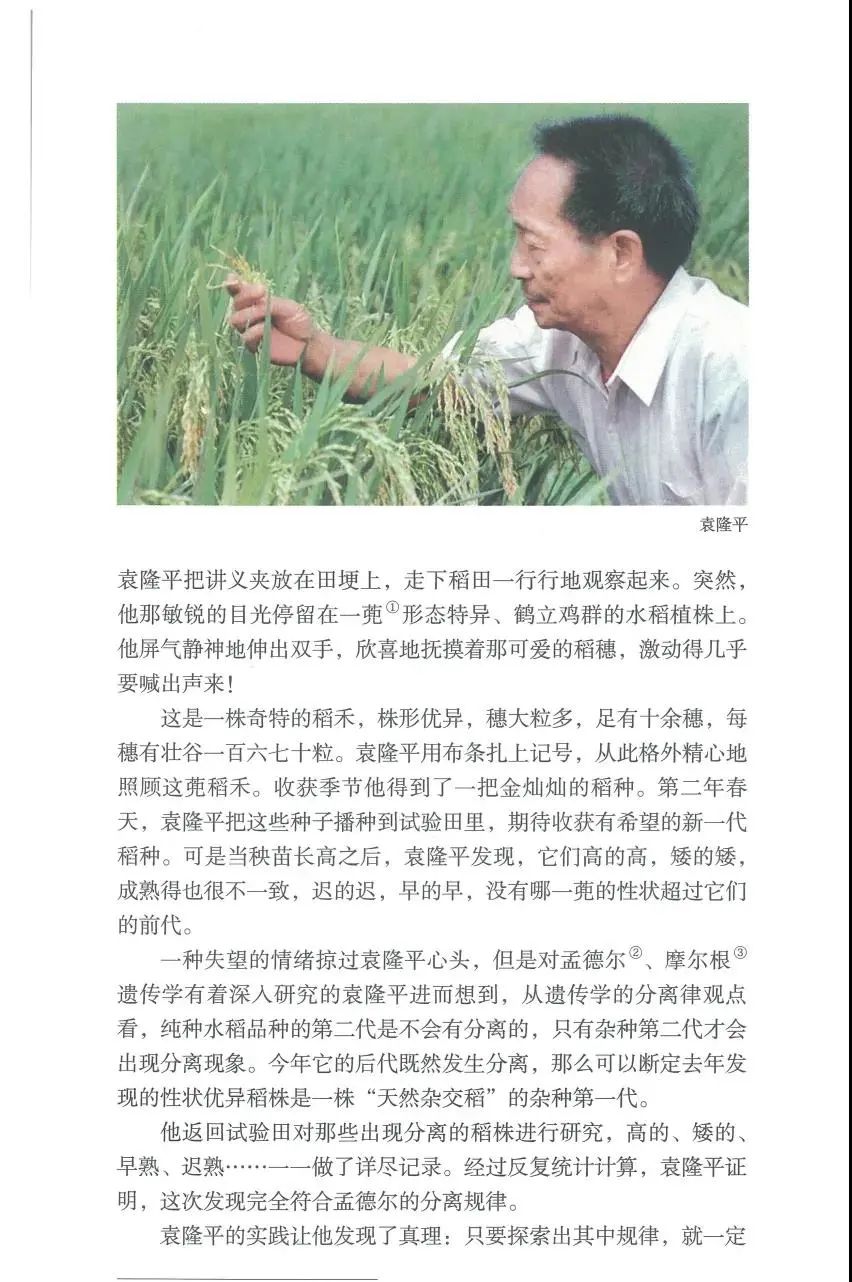 缅怀国之脊梁袁隆平！休闲区蓝鸢梦想 - Www.slyday.coM