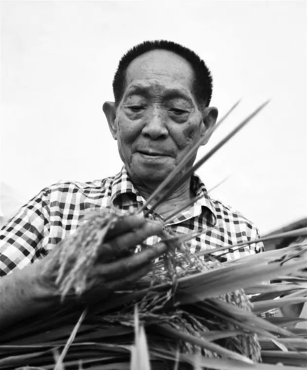 默哀!袁隆平院士逝世