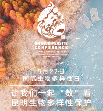 h5|"数"看昆明:生物多样性保护