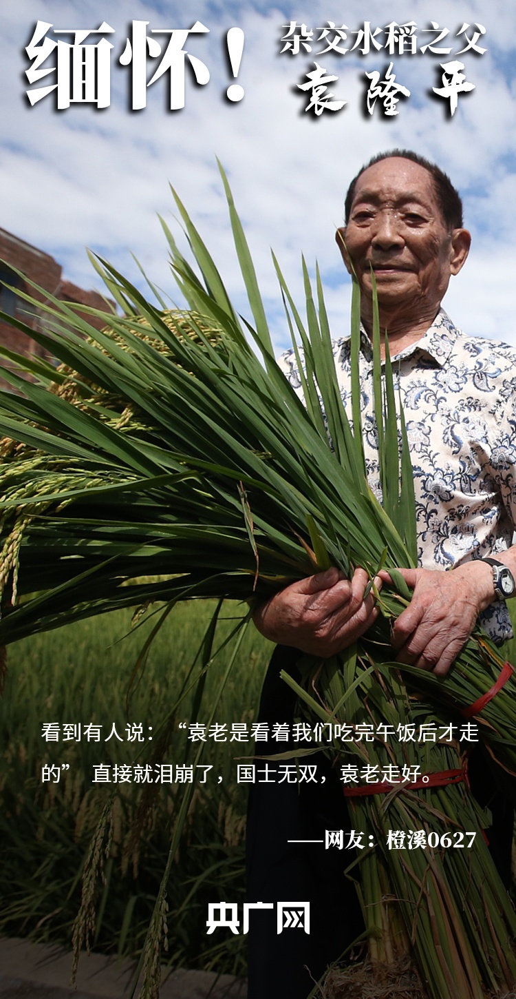 网友集体缅怀袁隆平:您是看着我们吃完午饭才走的|袁隆平_新浪新闻