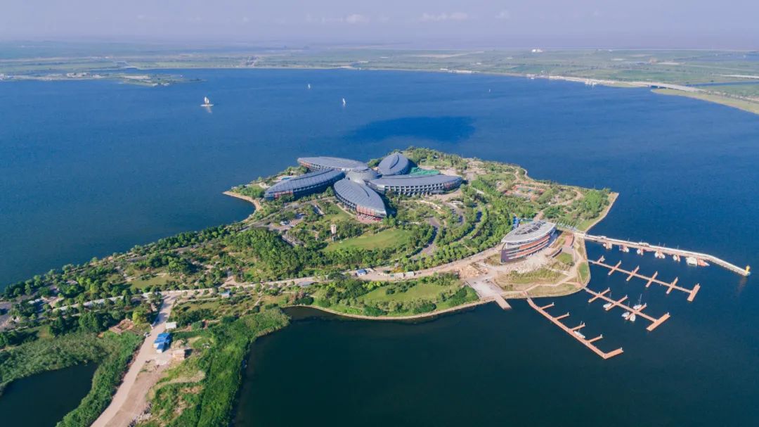 滴水湖的水为什么总是这么清?小布带你大揭秘!|港城_新浪新闻