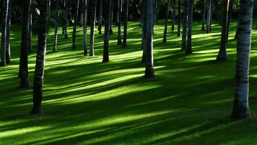 国际生物多样性日江西不断筑牢绿色生态保护屏障