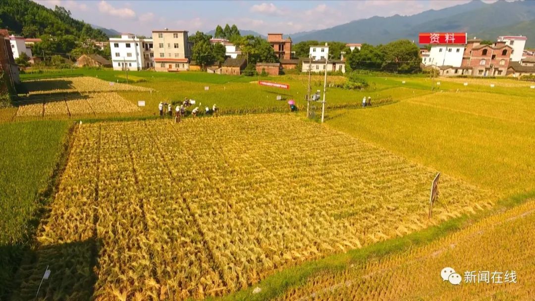 巨星陨落！“杂交水稻之父”袁隆平逝世，但“禾下乘凉梦”仍在八桂热土续延休闲区蓝鸢梦想 - Www.slyday.coM