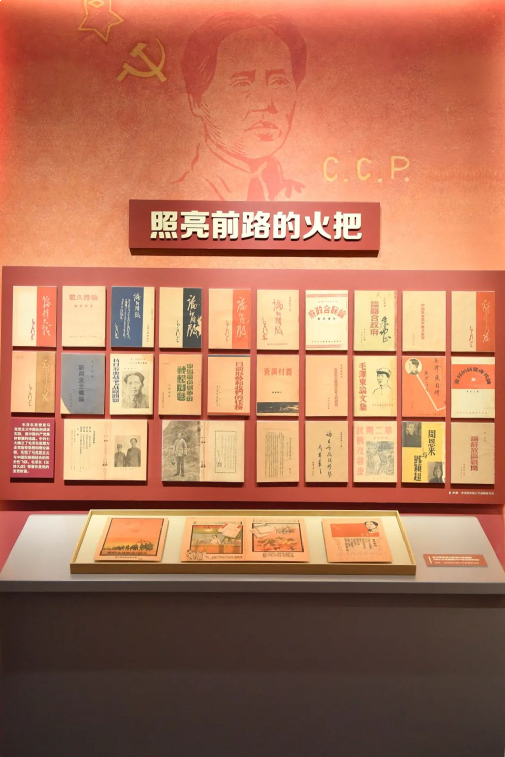 中国历史研究院征集海外中共珍稀文献展开幕