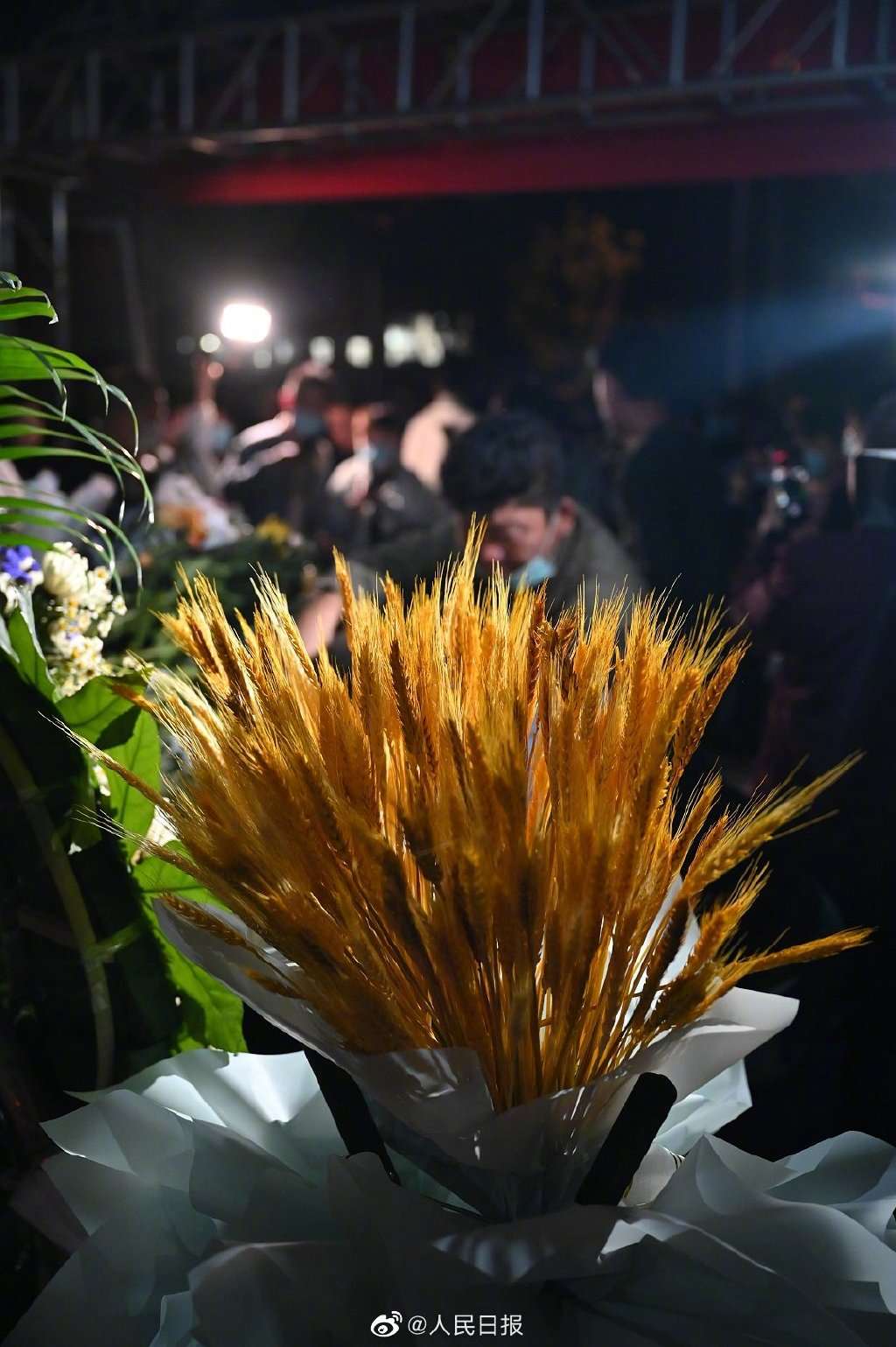 袁隆平院士丧事从简，不安排接待群众悼念，昨夜殡仪馆前一幕看哭了……休闲区蓝鸢梦想 - Www.slyday.coM