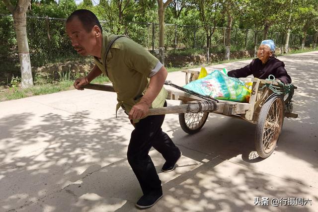 中午12点多钟在一条乡间道路上迎面遇到了这对拉着架子车的母子,w老师