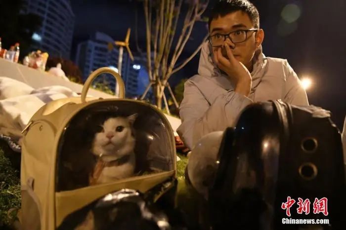 一家10多口人刚逃出，房就塌了！直击云南、青海地震现场休闲区蓝鸢梦想 - Www.slyday.coM