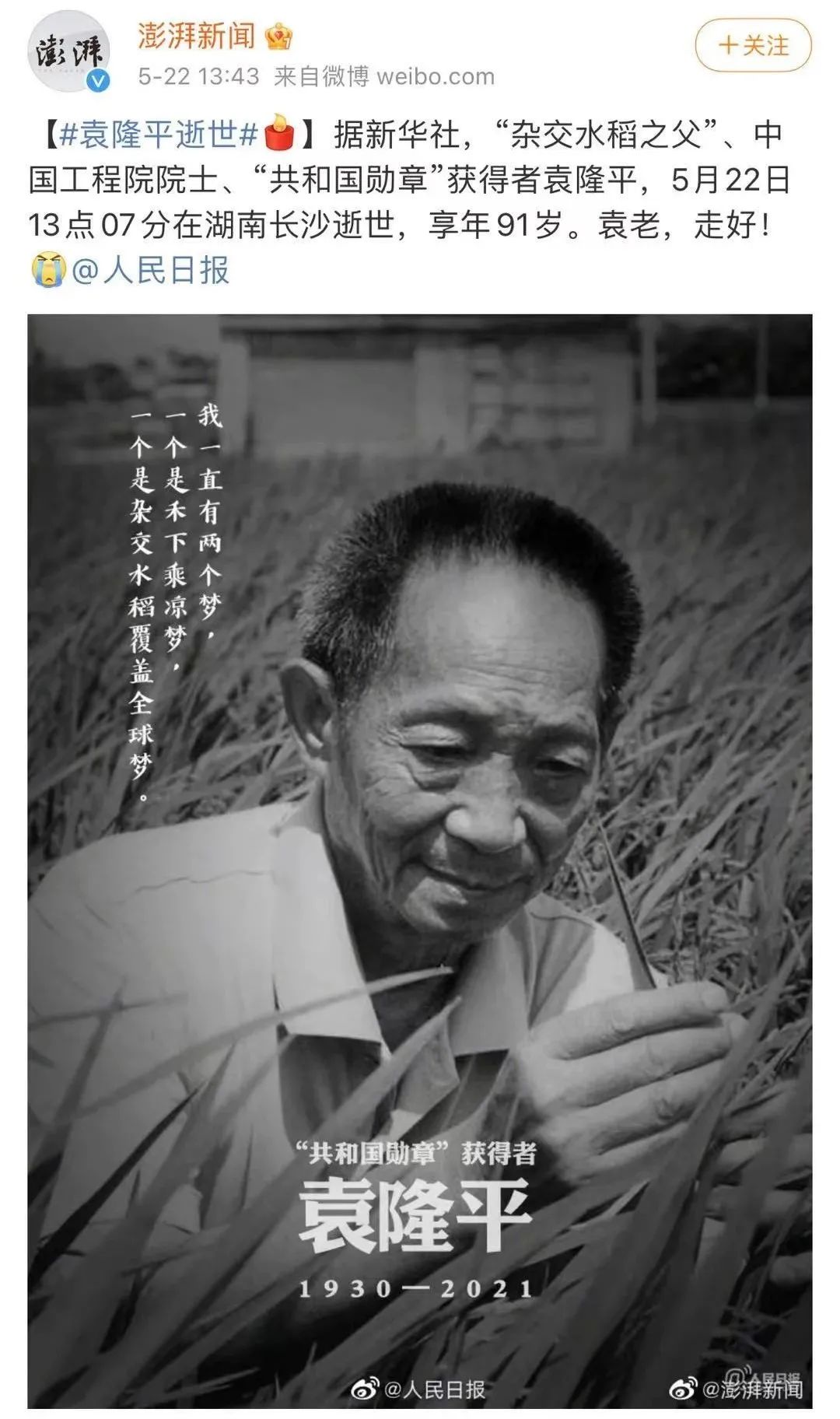 91岁袁隆平逝世：每一个人都该记得他的梦