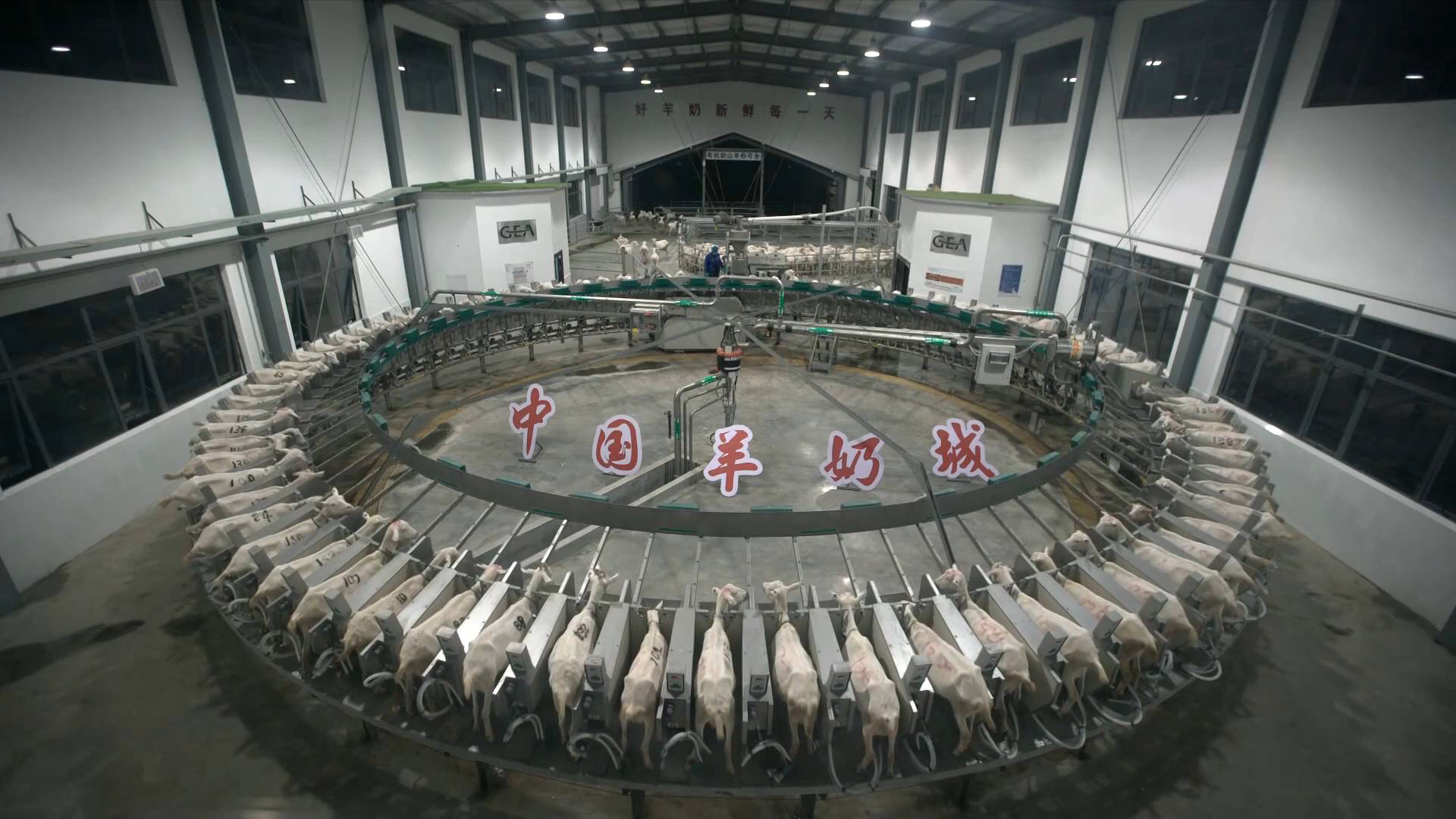 沿着高速看中国|来这里逛 "中国羊奶城"|陕西省|武则天|中国_新浪新闻