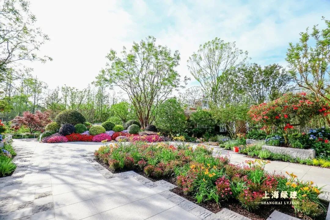 探索花博会上海园源梦园实景图来了六大展区各具特色