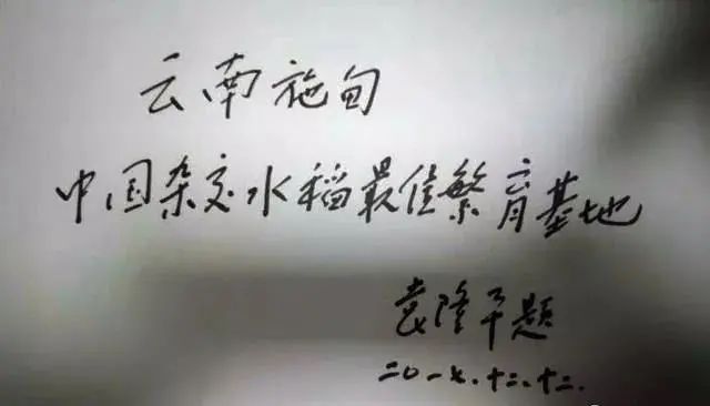 袁隆平在云南的这些老照片看着看着就哭了