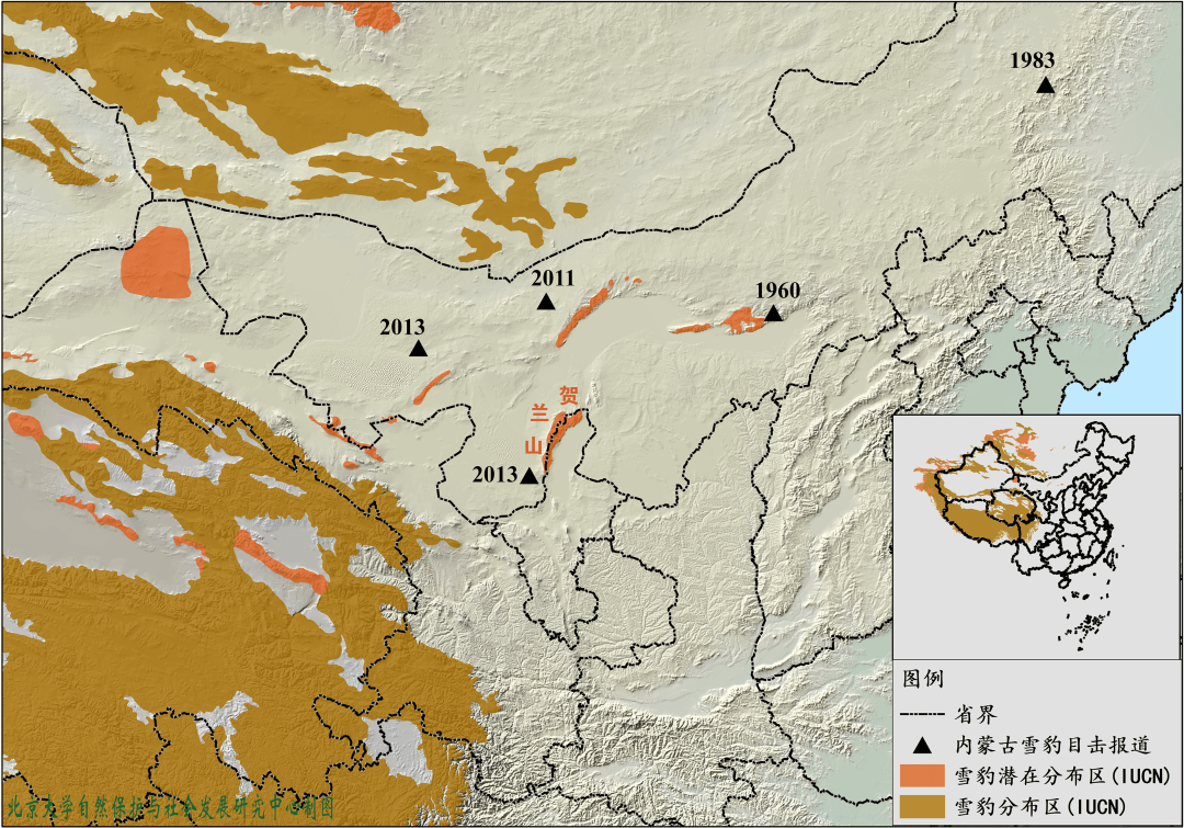 贺兰山中国雪豹已知分布区东扩300公里