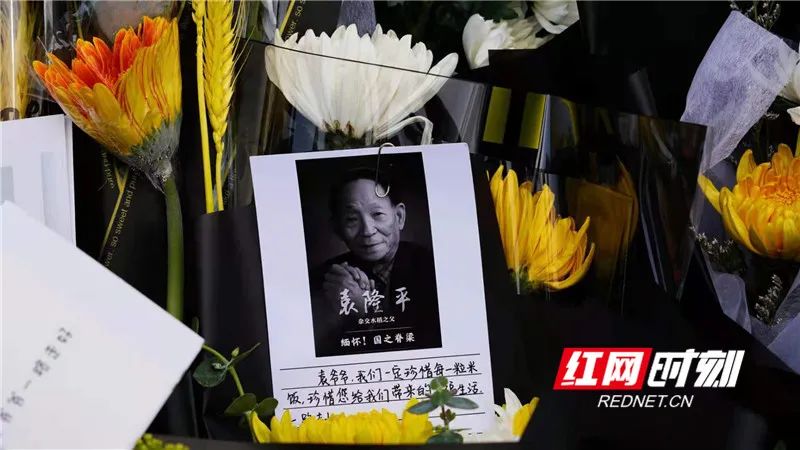 横幅下方是袁隆平同志的遗像