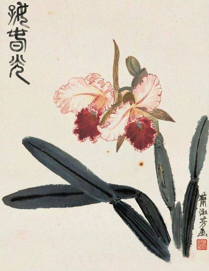 赏析|融水彩于水墨,她的水墨花卉别具一格!|国画_新浪新闻