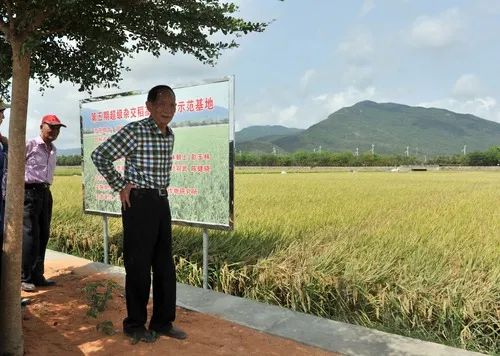 送别！袁隆平院士遗体送别仪式上午10时举行休闲区蓝鸢梦想 - Www.slyday.coM