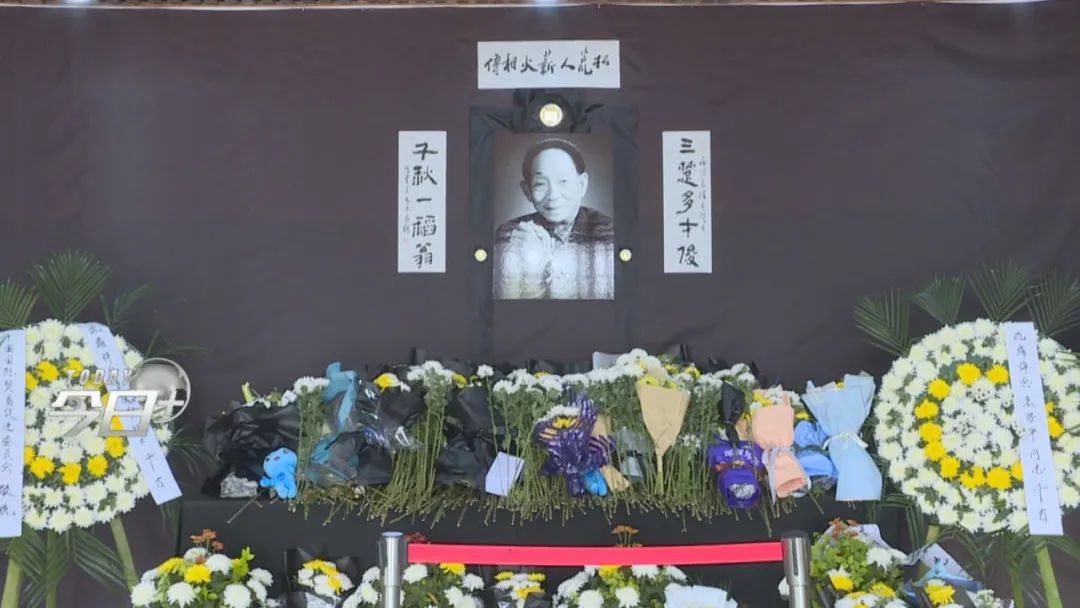 袁老,青岛忘不了您!|中国工程院|袁隆平|青岛市_新浪新闻