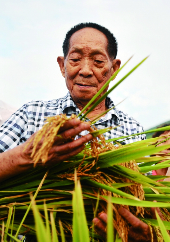一稻济天下精神永传承追记杂交水稻之父袁隆平