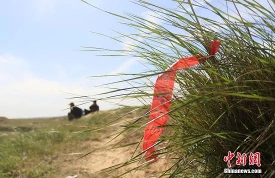 残留在路边的山地越野赛路线标示。高展 摄