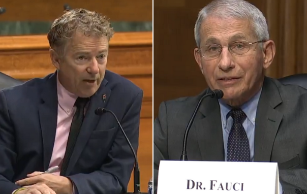 11日参议院听证会上的保罗（左）和福奇（右）  视频截图