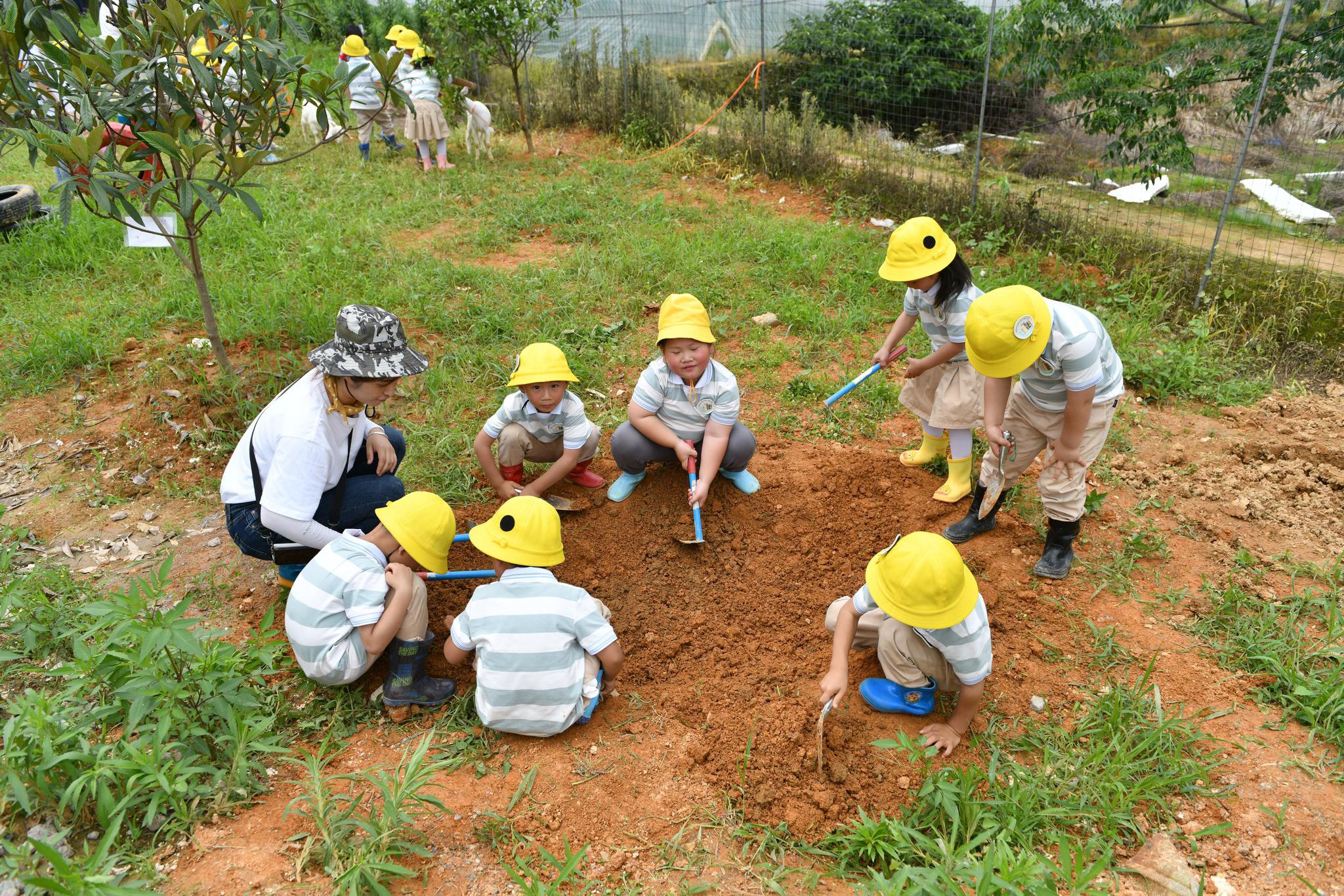 幼儿园种植区设计——让孩子们变身小小农场主_自然_教育_环境