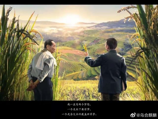 厦门思明也有个“禾下乘凉梦”休闲区蓝鸢梦想 - Www.slyday.coM