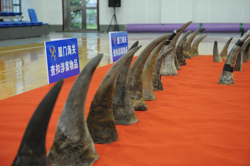现场查获犀牛角145件海关破获近年单次数量最大犀牛角走私案