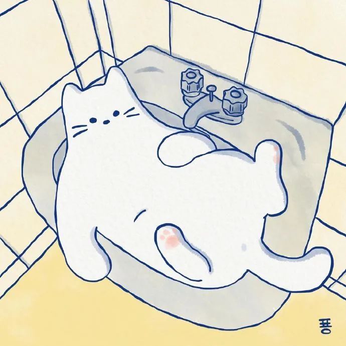 白白胖胖充满希望!猫咪日常系列插画好可爱!
