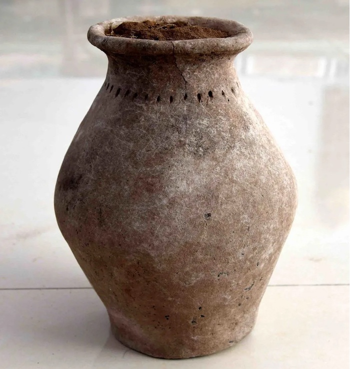 乃仁陶力盖遗址出土陶器