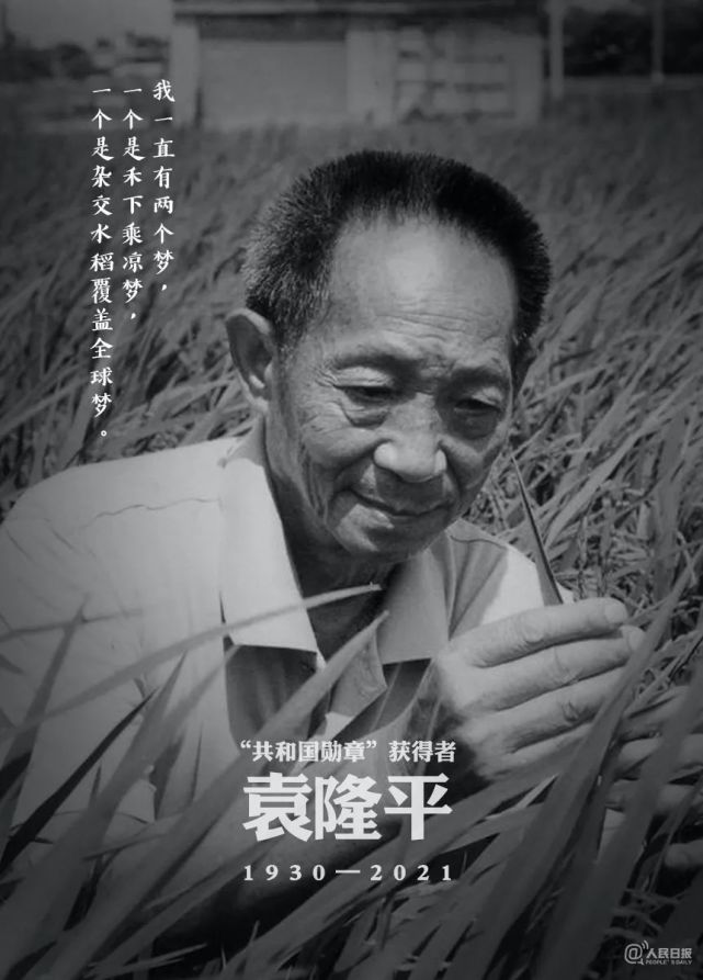 厦门思明也有个“禾下乘凉梦”休闲区蓝鸢梦想 - Www.slyday.coM