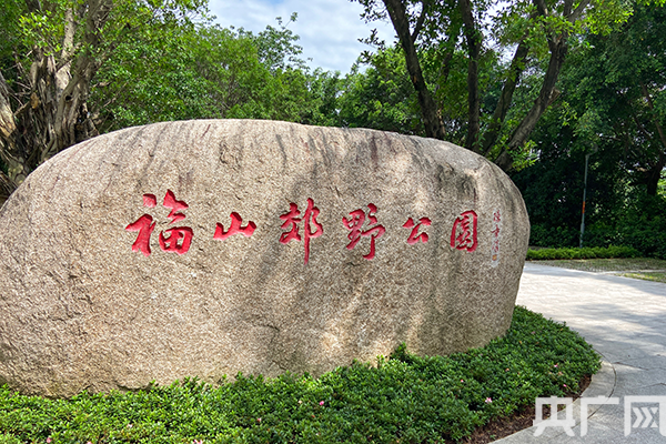 福山郊野公园(央广网发 龚雯摄)