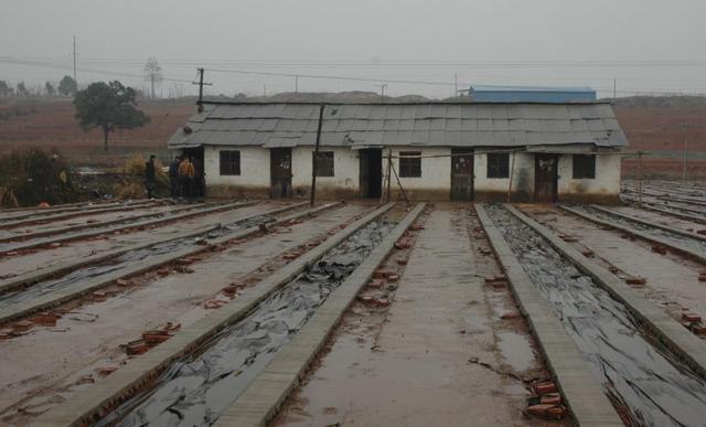 浙江5岁女孩被害！12年后嫌疑人抓到了，竟是熟人休闲区蓝鸢梦想 - Www.slyday.coM