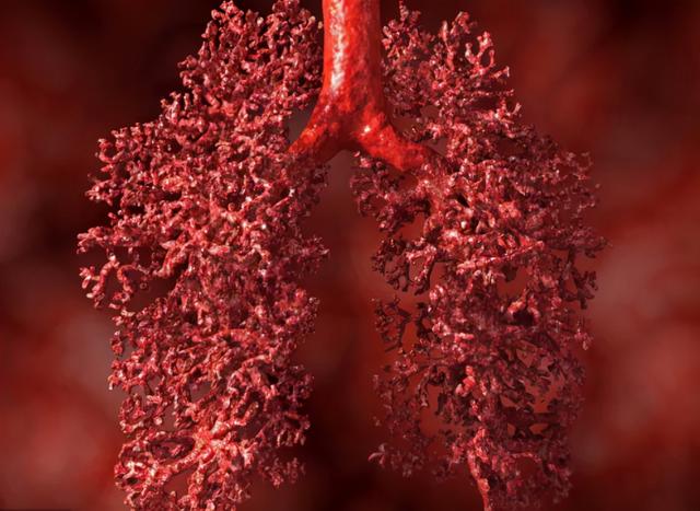 仅50岁的贝壳创始人左晖因癌去世，我国每年约180万人因肺癌死亡休闲区蓝鸢梦想 - Www.slyday.coM