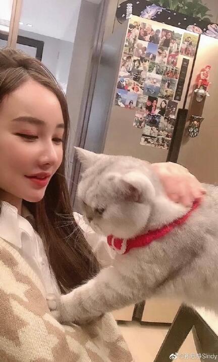 陈皮阿四胡耘豪隐婚四年老婆高调晒结婚证庆四周年