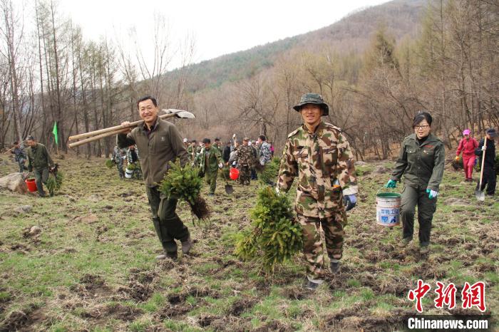 龙江森工林区春季造林告捷  增强林业碳汇储备助力“碳中和”