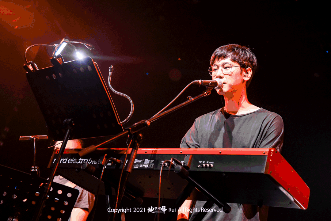 鲸鱼马戏团广州站演出取消,旅程过半,遗憾让下次相见更加珍贵