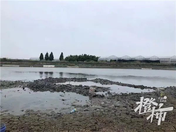 轰！天空掉下不明黑色物体坠入鱼塘，挖了1米多深还没挖到休闲区蓝鸢梦想 - Www.slyday.coM