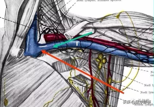 静海seo优化的公司