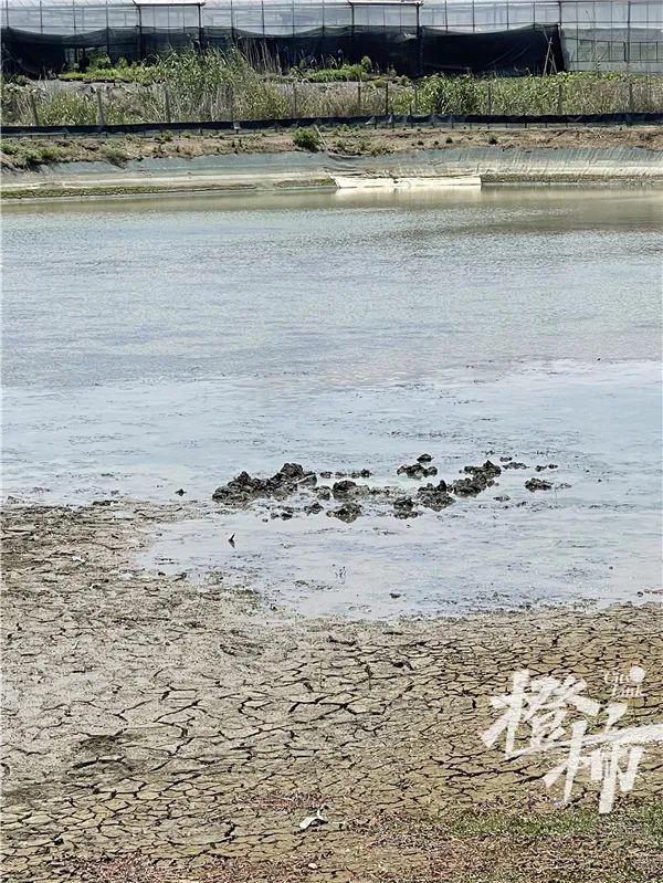 轰！天空掉下不明黑色物体坠入鱼塘，挖了1米多深还没挖到休闲区蓝鸢梦想 - Www.slyday.coM