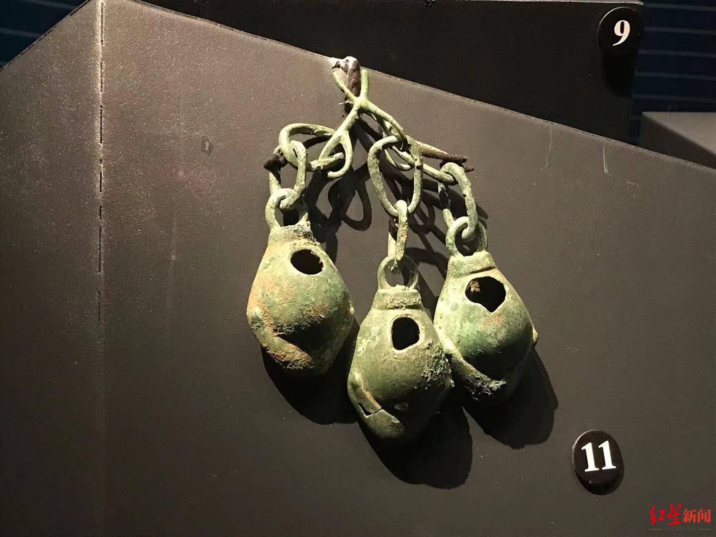 dna同位素等高科技上马欲解三星堆海贝与象牙来源之谜