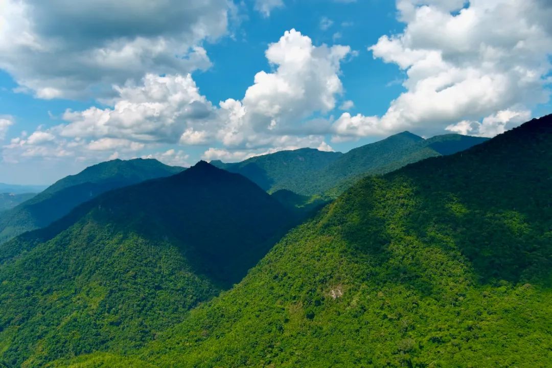 海南五指山自然保护区图片