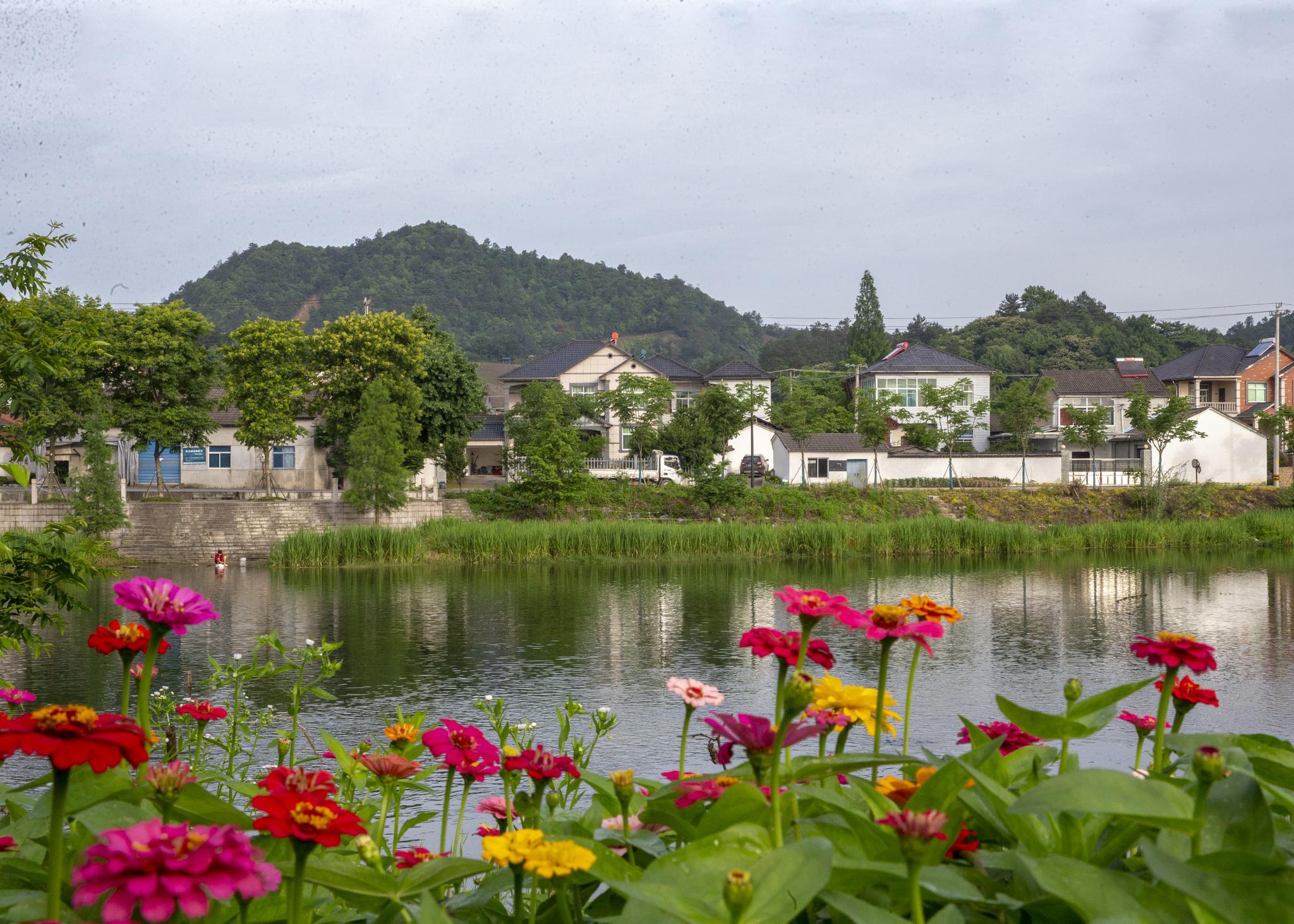 安吉:乡村美如画|安吉_新浪新闻