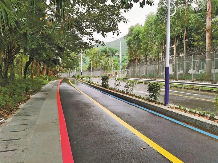 罗湖多了一条彩虹路|罗湖|慢行道|彩虹_新浪新闻