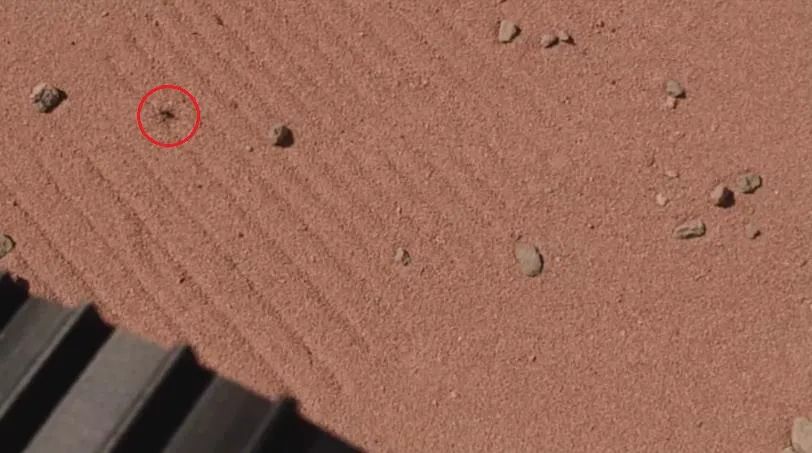 经历96个火星日，比祝融号先一步登陆火星的毅力号，发现了什么？休闲区蓝鸢梦想 - Www.slyday.coM