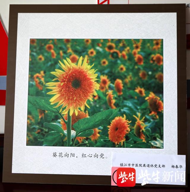 学党史丨镇江市中医院丹青绘时代02翰墨书华章