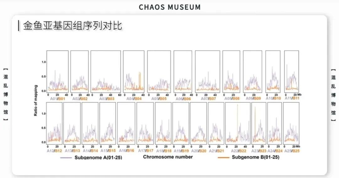 如何成为一条合格的金鱼休闲区蓝鸢梦想 - Www.slyday.coM