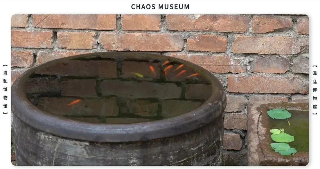 如何成为一条合格的金鱼休闲区蓝鸢梦想 - Www.slyday.coM