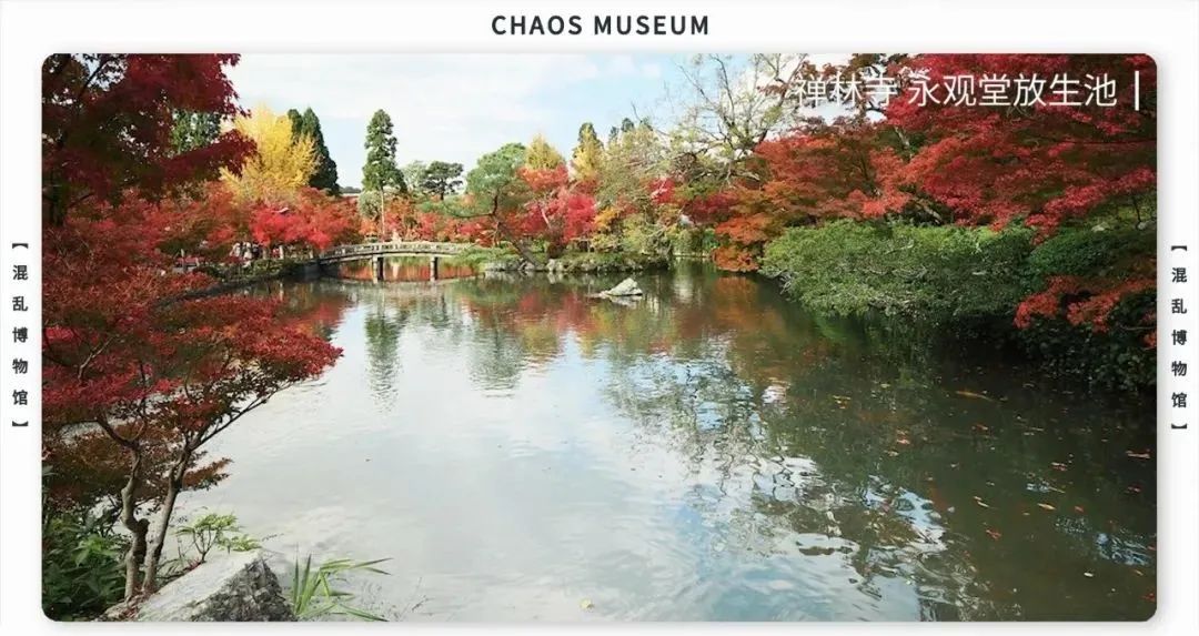 如何成为一条合格的金鱼休闲区蓝鸢梦想 - Www.slyday.coM