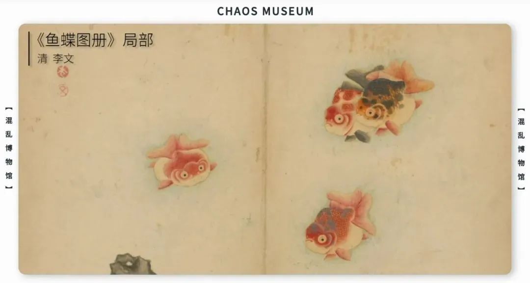 如何成为一条合格的金鱼休闲区蓝鸢梦想 - Www.slyday.coM