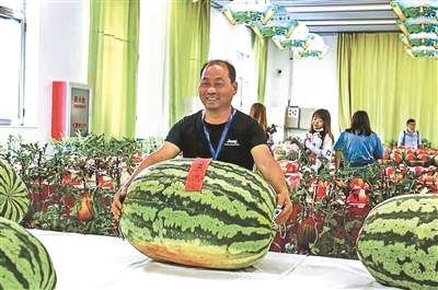 "瓜王"重189斤|瓜王|西瓜|庞各庄镇_新浪新闻